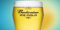 Budweiser - Ice Cold Index