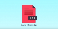 The Game Report